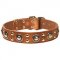 Strong Stuff Dog Gear: Luxury Dog Collars with Medals and Studs