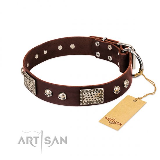 Brown Leather Dog Collar "Pirate Skull" FDT Artisan