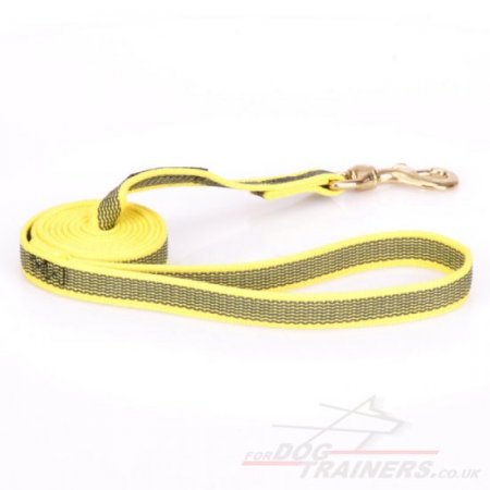 Stylish Water-Resistant Nylon Training Lead For Dogs 0.8" Width
