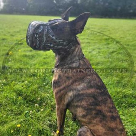 Leather Dog Muzzle UK Exclusive Style Barbed Wire for Agitation