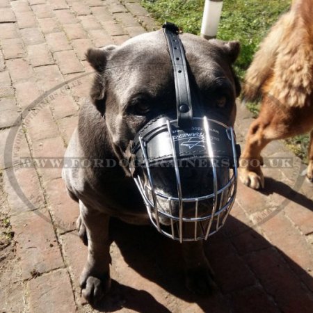 Padded Cane Corso Muzzle for Mastiff Breeds Wire Basket