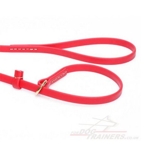 Red Dog Collar and Leash 2 in 1 Combo Choker with Handle