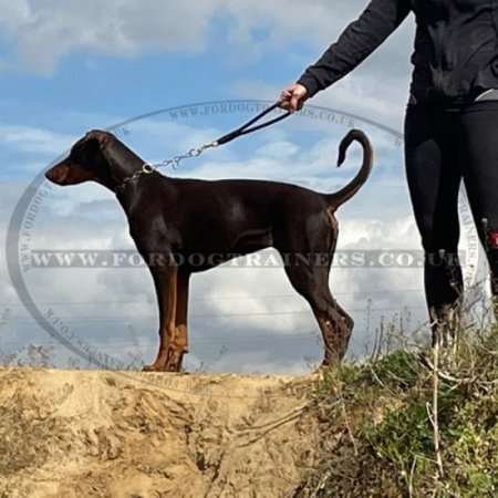 Short Round Leather Dog Leash Handle Only, Limited Edition