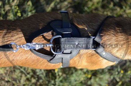 Protection/Attack Leather Dog Harness for Belgian Malinois