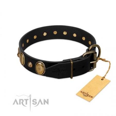 "Fashion Hymn" Nice Black Leather Collar For Dog With Studs FDT Artisan