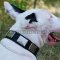 British Bull Terrier Nylon Dog Collar | Strong Dog Collar UK