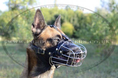 Bestseller Wire Basket Dog Muzzle for Belgian Malinois