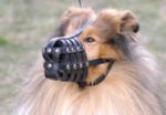 Collie Dog Muzzle with Super Ventilation | Collie Muzzle UK