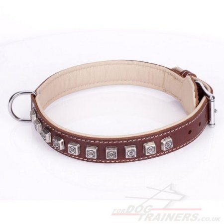 Adorable Brown Leather Studded Dog Collar "Cube" Padded With Leather Lining