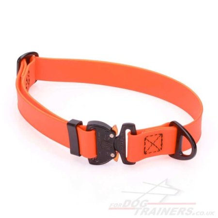 1 Inch Cobra Buckle Dog Collar Biothane