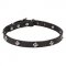 Diamond Studded, Elegant Thin Leather Dog Collar Design