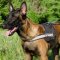 Malinois Harness with Reflective Trim | Nylon Dog Harness