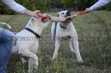 Jute Tugs for Large Dog Training | Bite Tug for Dog