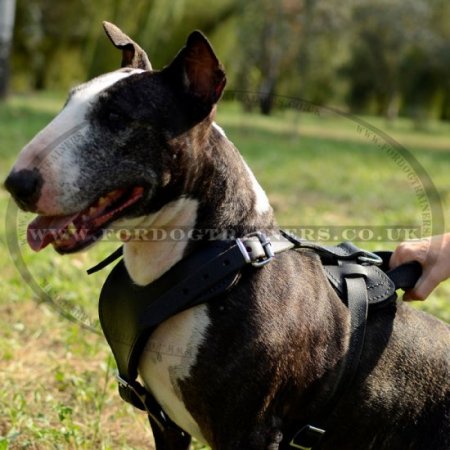 V-Shaped Dog Harness for Perfect Fit Medium to X Large