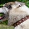 Husky Collar UK New Design | Studded Leather Dog Collar