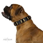 Gold & Black Leather Dog Collar 'Glorious Night' FDT Artisan_6