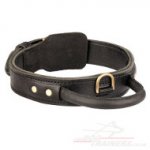 Strong Dog Collar for Bullmastiff | 2 Ply Dog Collar with Handle