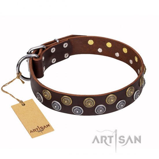 Brown Leather Dog Collar with Studs "Strong Shields" FDT Artisan