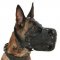 Malinois Muzzle for K9 Dogs | Hard Leather Dog Muzzle K9