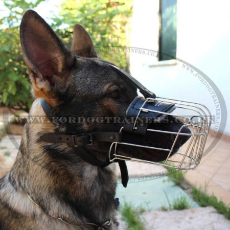 Choose Medium Sized Dog Muzzle for Middle Dog Breeds