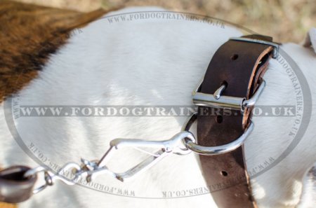 "Easy Use" Best Dog Collar For American Bulldog Walk And Training