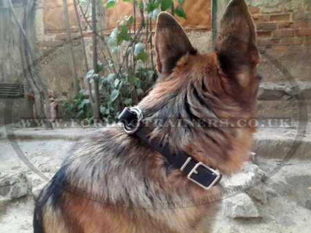 2 Ply Leather Choke Dog Collar with Buckle