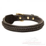 1 inch Dog Collar | Braided Dog Collar Strong and Stylish Design