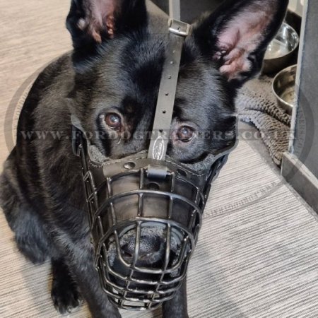 Pro K9 Dog Training Muzzle Rubberized, Leather Padded Dog Muzzle