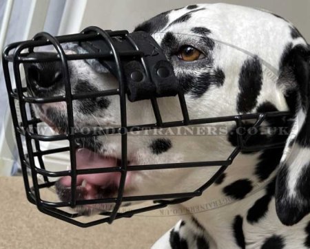 Eat and Drink Black Wire Dog Muzzle for Winter & Summer Allows Panting