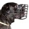 Large Dog Muzzle for Cane Corso Muzzle Size Rubber Coated Any-Weather