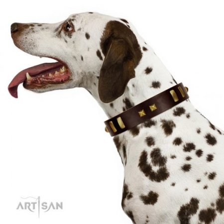 "Choco Delight" Awesome Chocolate Brown Leather Dog Collar With Brass Hardware FDT Artisan