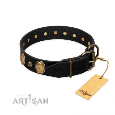 "Gilded Stones" Functional Black Real Leather Dog Collar FDT Artisan