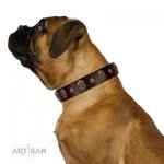 "Breaking the Horizon" Gorgeous Brown Leather Dog Collar FDT Artisan_5
