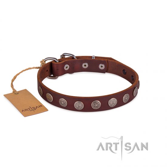 Dark Brown Leather Dog Collar | Exclusive Dog Collar UK FDT Artisan
