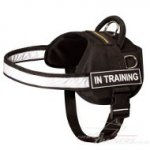 The Best Reflective Dog Harness with High Vis Strap and Patches_0