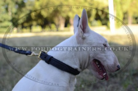 Dogs Collars | Dog Collars Leather Braided Design
