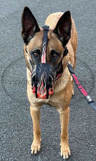 Leather Dog Muzzles "Flame" Size 3 for Rottweiler