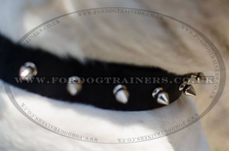 "Rose" Fashionable Leather Dog Collar For American Bulldog With Spikes