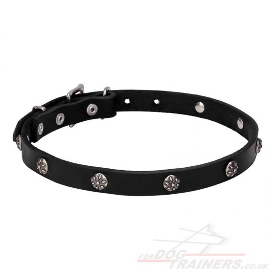 Studded Leather Dog Collar "Sparkling Beauty"