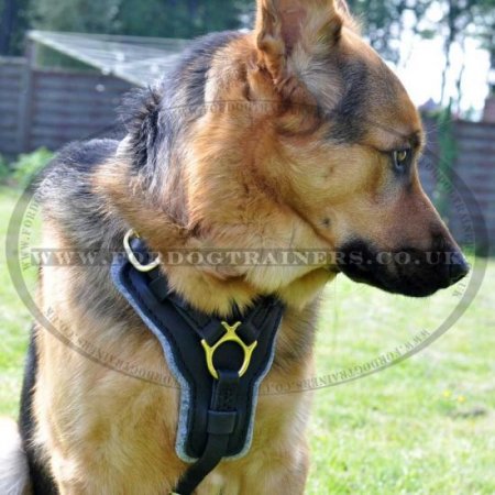 Comfy German Shepherd Harness K9 and Walking Design