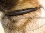 "Light Air" Rolled Leather Choke Dog Collar for Belgian Malinois