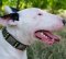 British Bull Terrier Collar Brass Spiked Style | Dog Collars UK