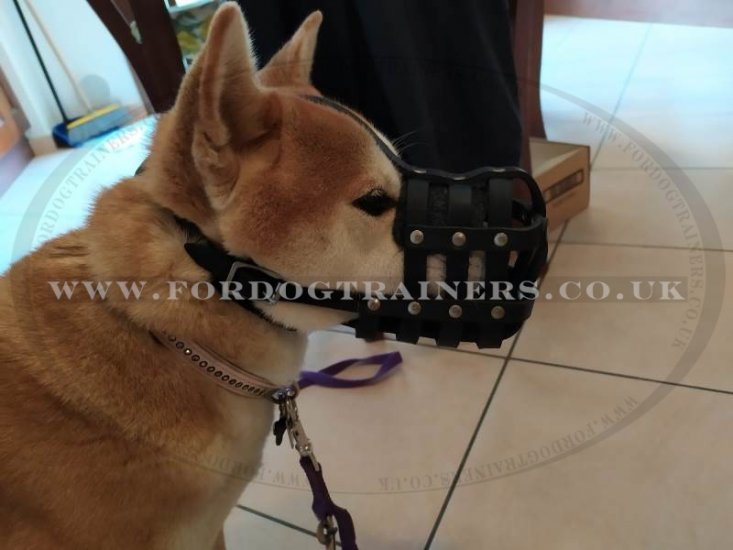 Siberian Husky Muzzle Soft and Strong Leather Muzzle for Husky Size