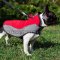 Warm Dog Harness-Vest for French Bulldog Walking in Winter