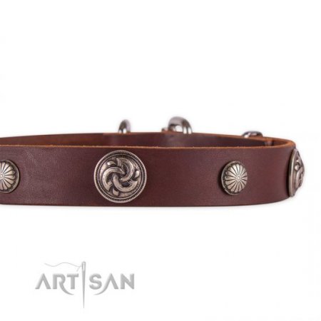 Exclusive Brown Studded Dog Collar FDT Artisan For Active Walking
