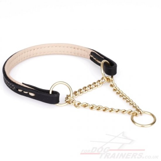 Leather Martingale Dog Collars with Chain Loop of Golden Color