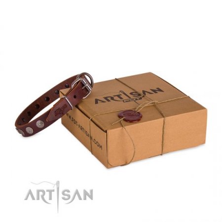 Dark Brown Leather Dog Collar | Exclusive Dog Collar UK FDT Artisan