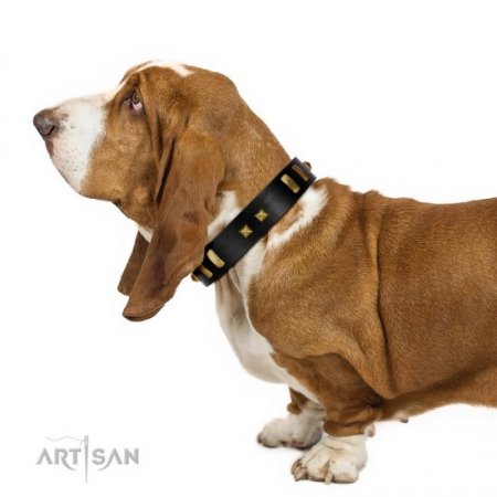"Fit For Royalty" Charming Black Real Leather Dog Collar With Brass Adornment FDT Artisan