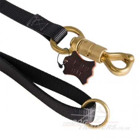 Extra Strong Heavy Duty Nylon Dog Leash with Elaborated Brass Snap