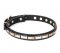 Noble Dog Collar with Metal Plates from FDT Artisan
